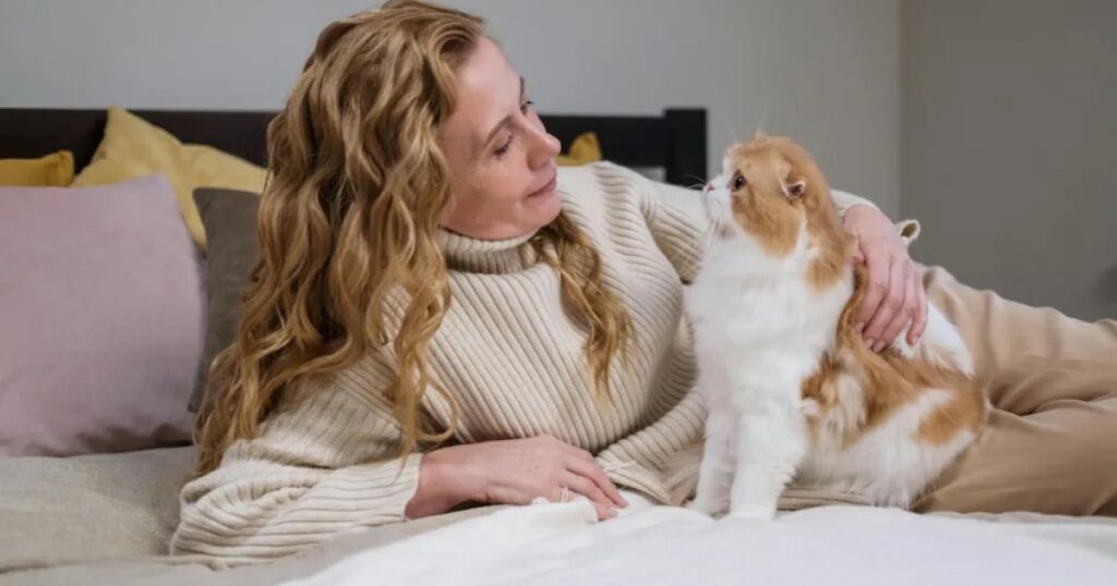 Why Does My Cat Cry At Night
